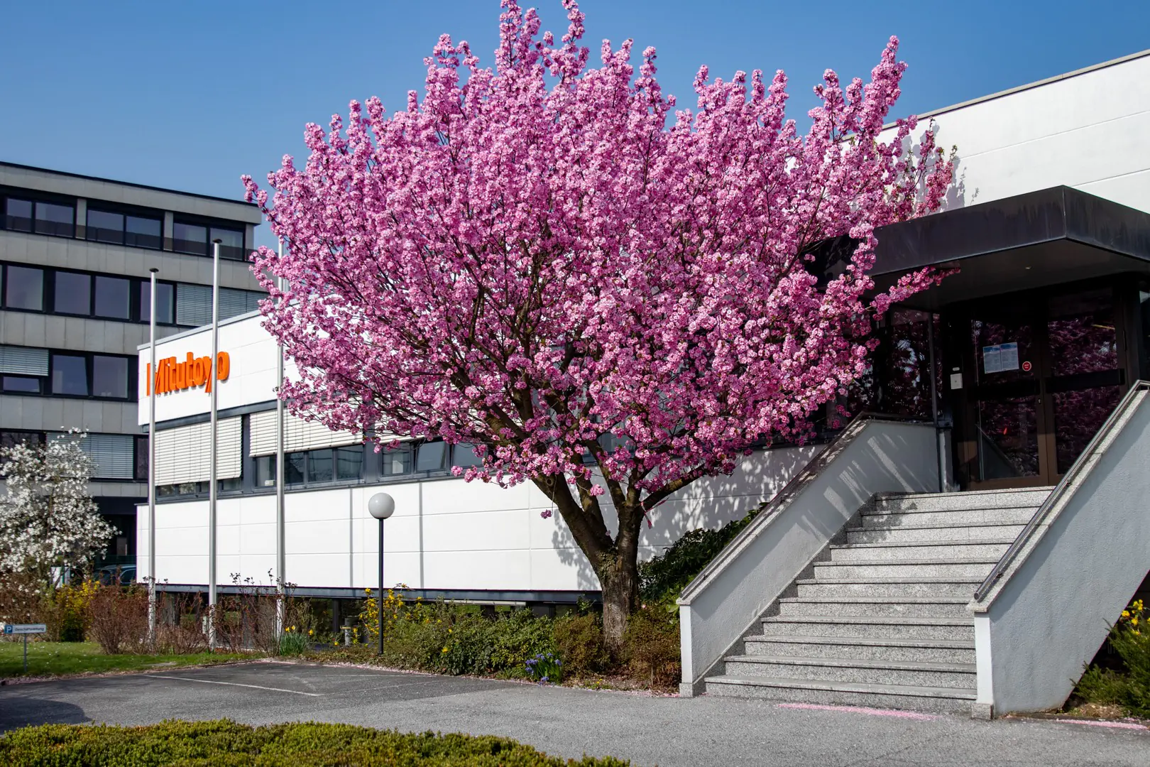 Our headquarters in Neuss – where ideas become reality and teams collaborate to drive excellence.